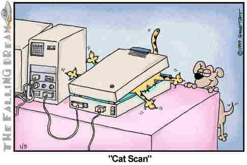 catscan