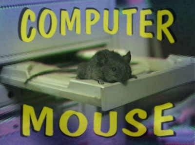 mouse2